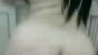 ಕಾಮುಕ ಹೊಂಬಣ್ಣದ ಬಾಂಬ್ಶೆಲ್ ಜೆನ್ನಿ ಲೈರ್ಡ್ ತನ್ನ ದೊಡ್ಡ ಸಂಪೂರ್ಣ ಮಾದಕ ವಿಡಿಯೋ ಚಲನಚಿತ್ರ ಹುಬ್ಬುಗಳನ್ನು ತೋರಿಸುತ್ತಾಳೆ